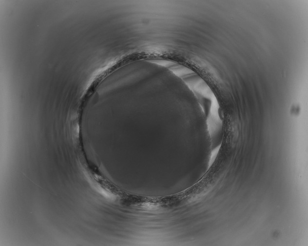 X0000097620496200803142005