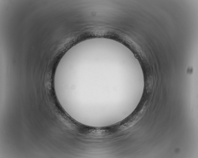 X0000097620497200803142005