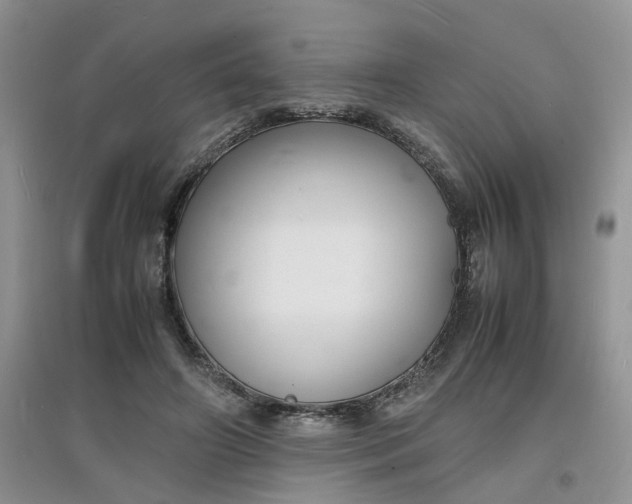 X0000097620498200803142005