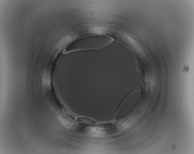 X0000097620500200803142005