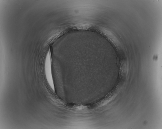 X0000097620501200803142005