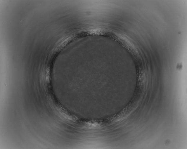 X0000097620502200803142005