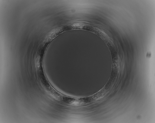 X0000097620504200803142005