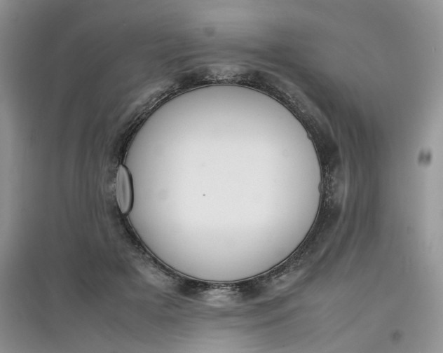 X0000097620505200803142005