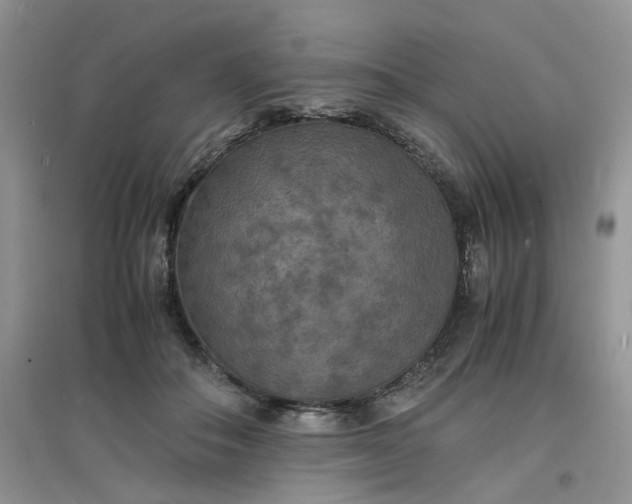 X0000097620506200803142005