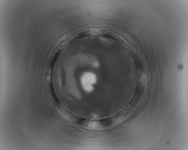 X0000097620507200803142005