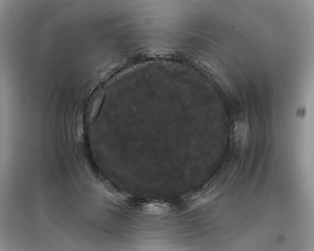 X0000097620508200803142005