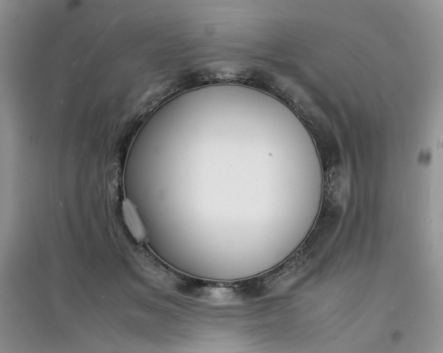 X0000097620509200803142005