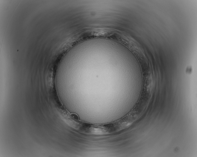X0000097620510200803142005