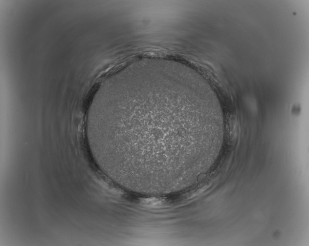 X0000097620511200803142005