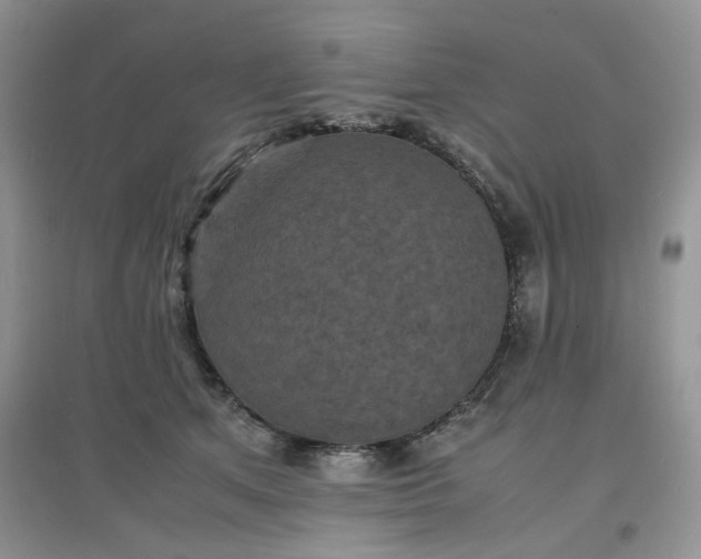 X0000097620513200803142005