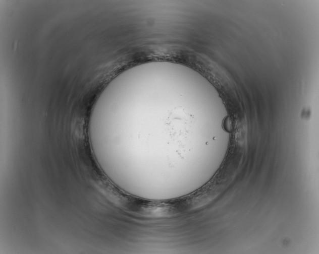 X0000097620514200803142005