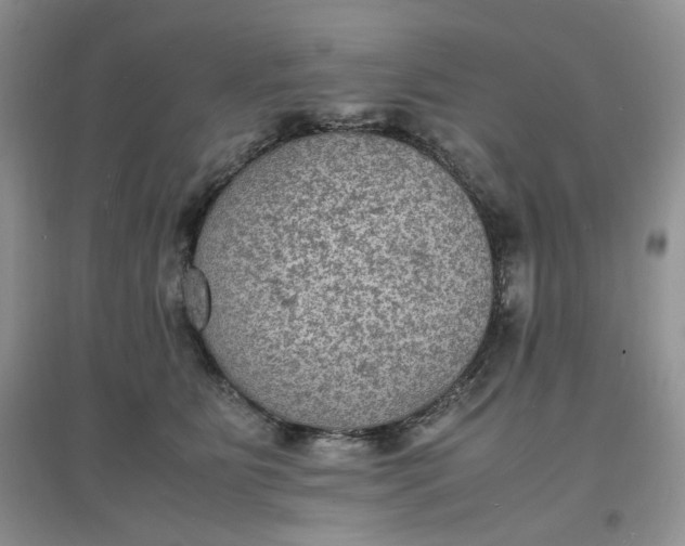 X0000097620515200803142005