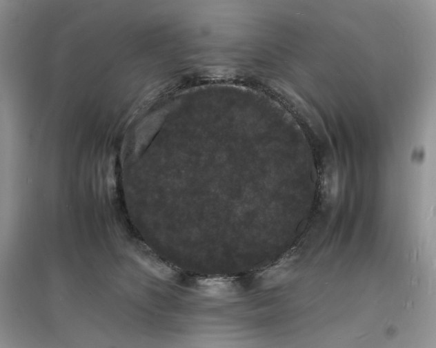 X0000097620516200803142005