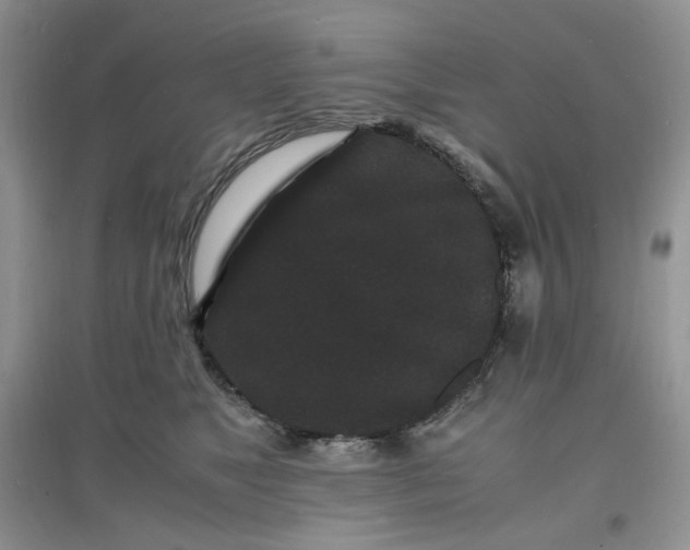 X0000097620517200803142005