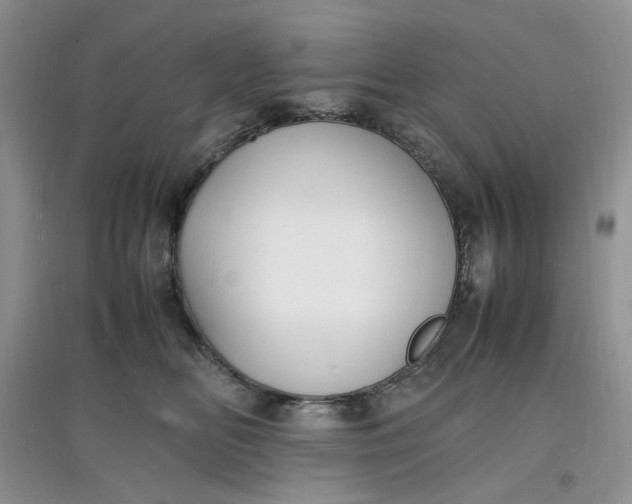 X0000097620518200803142005