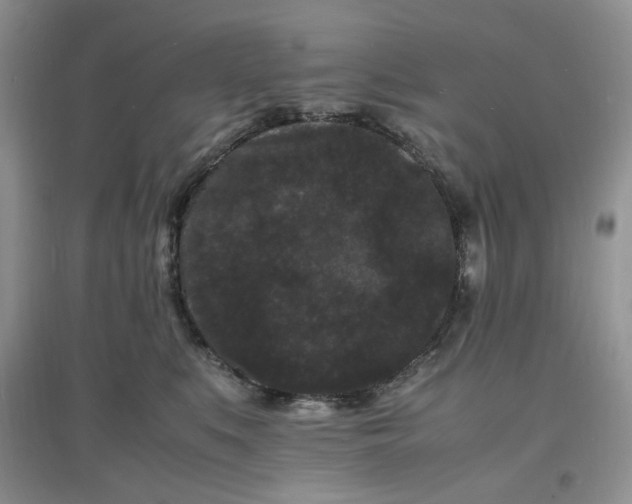 X0000097620519200803142005