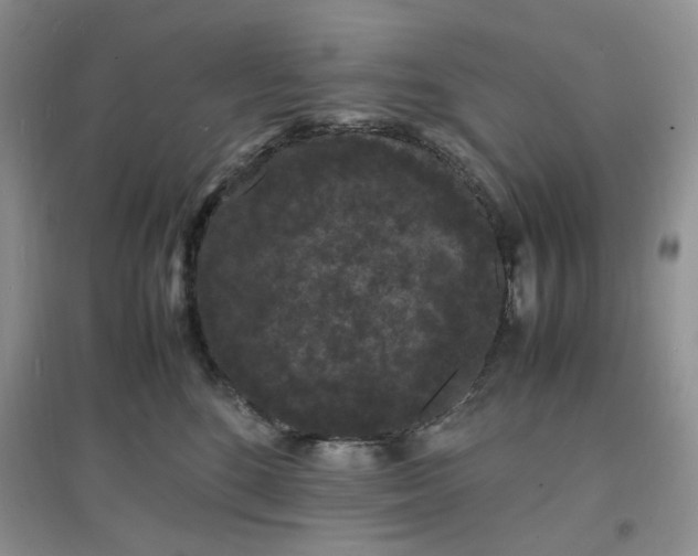 X0000097620520200803142005