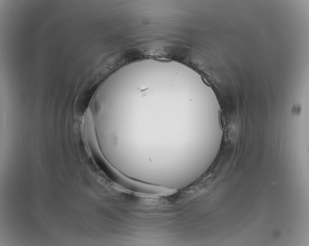 X0000097620521200803142005