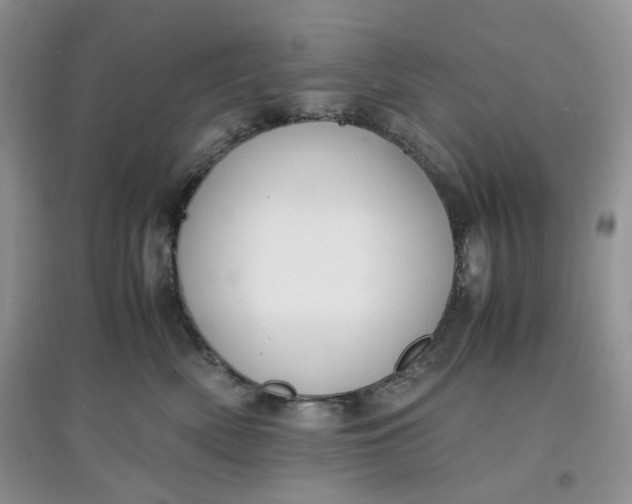 X0000097620522200803142005