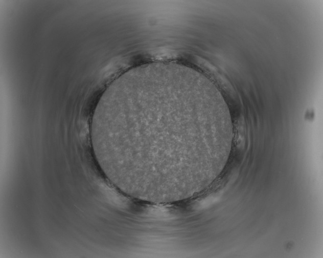 X0000097620523200803142005