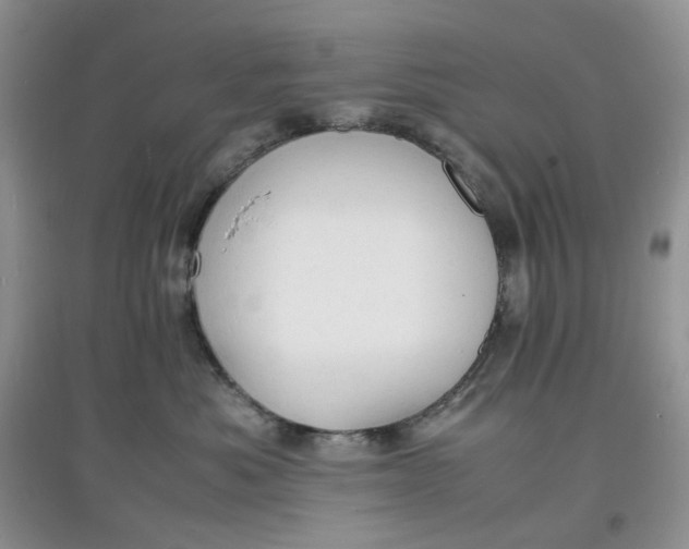X0000097620525200803142005