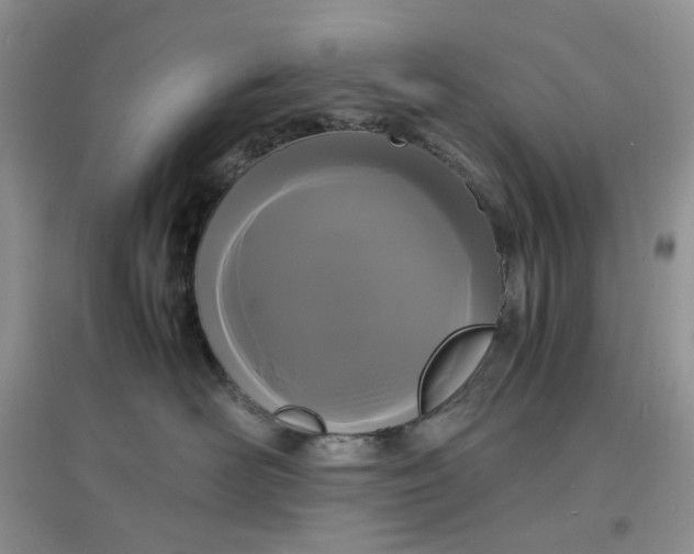 X0000097620526200803142005