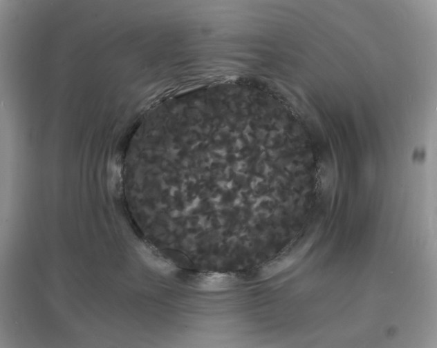 X0000097620527200803142005