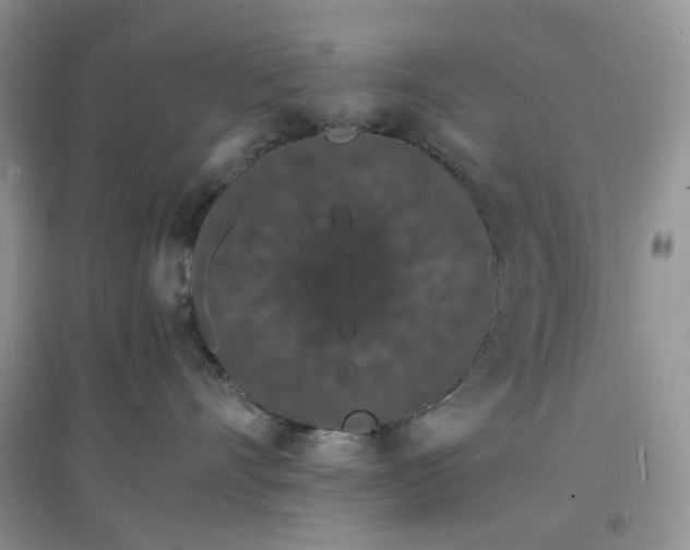 X0000097620528200803142005