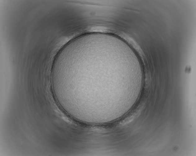 X0000097620529200803142004