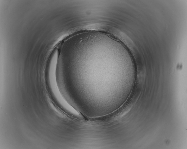 X0000097620530200803142004
