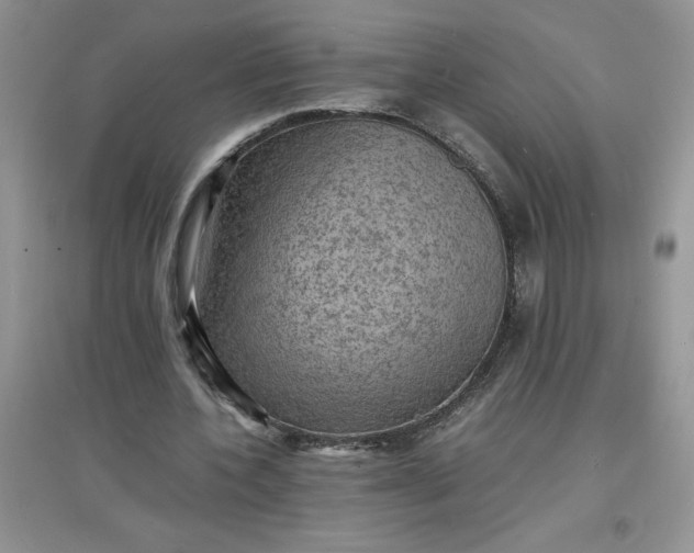 X0000097620532200803142004
