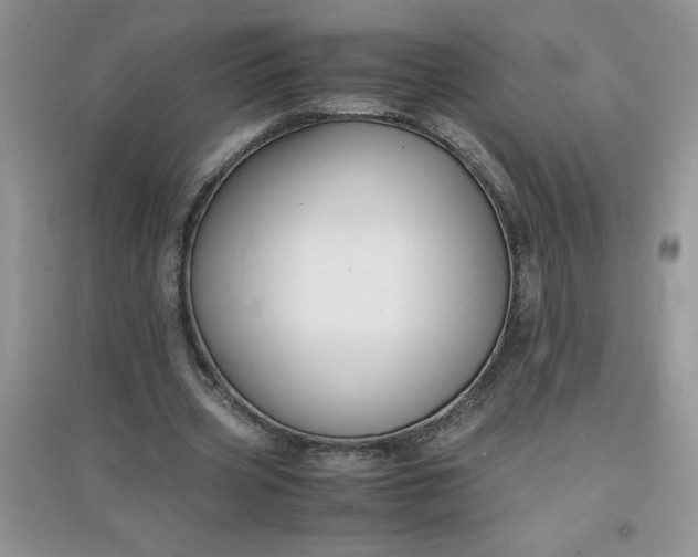 X0000097620533200803142004