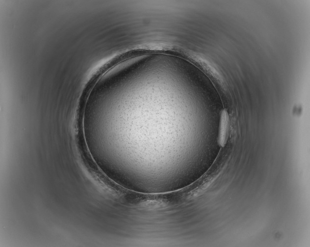 X0000097620536200803142004