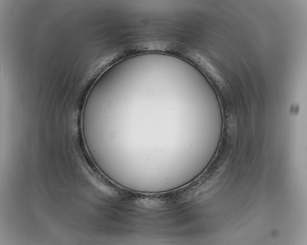 X0000097620537200803142004