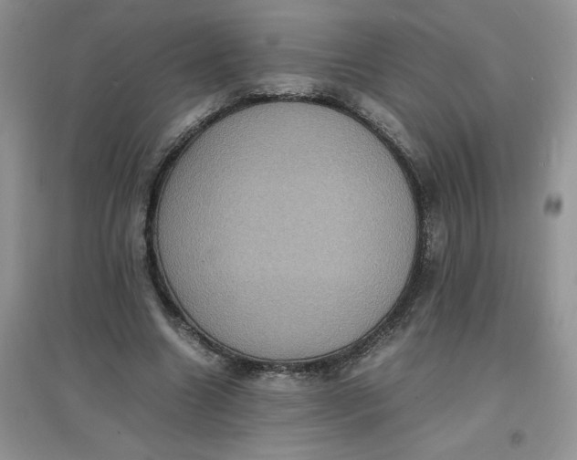 X0000097620538200803142004