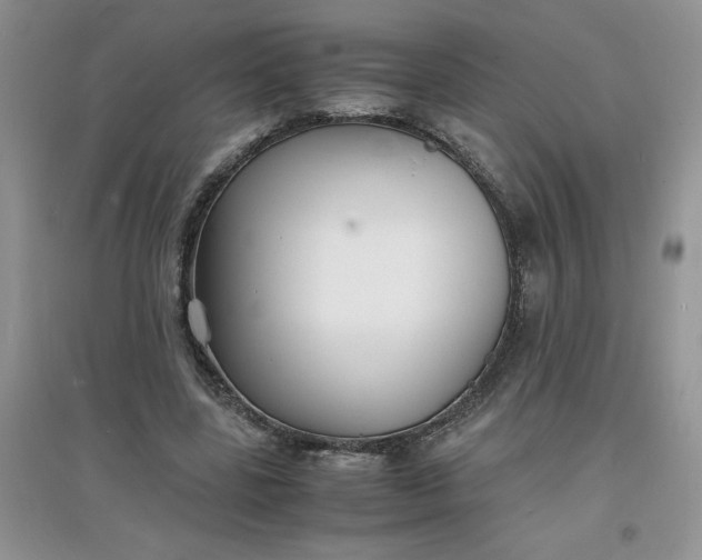 X0000097620539200803142004