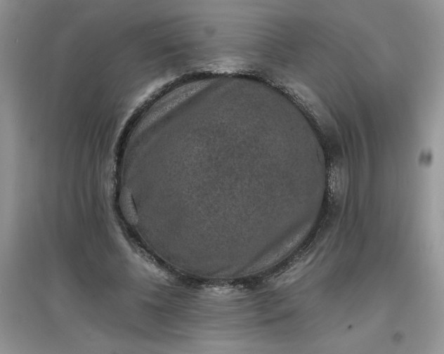 X0000097620540200803142004