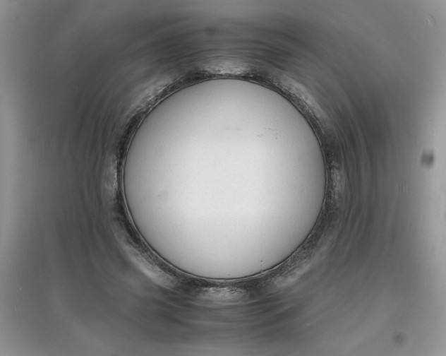 X0000097620541200803142004