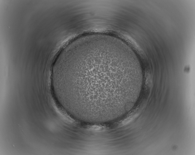 X0000097620542200803142004