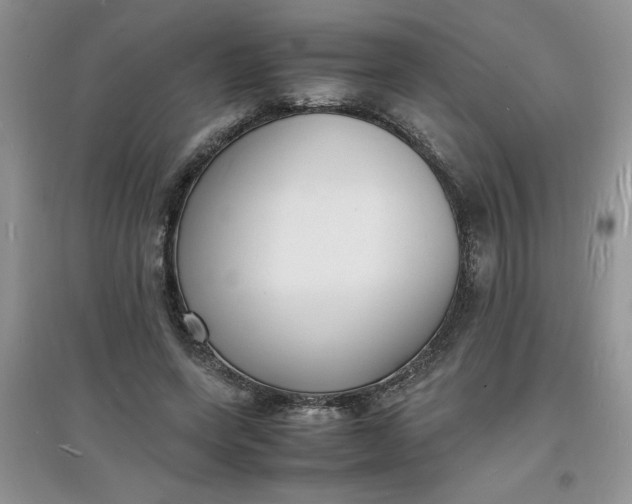 X0000097620543200803142004
