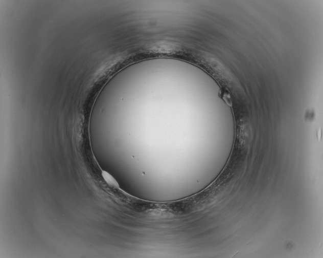 X0000097620544200803142004