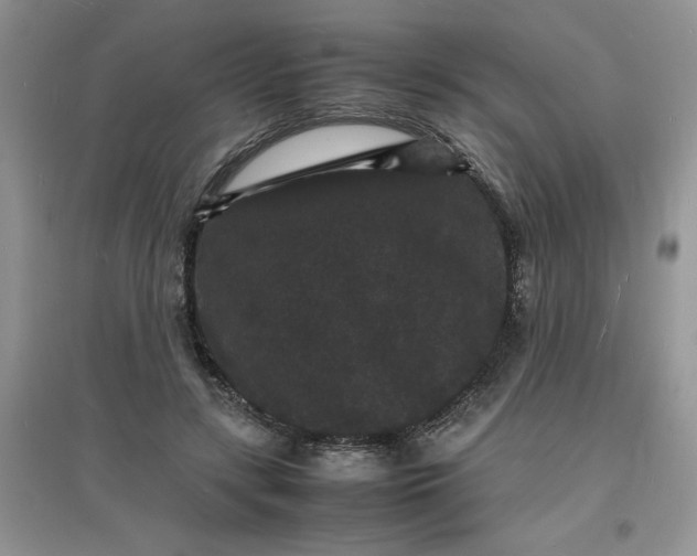 X0000097620547200803142004