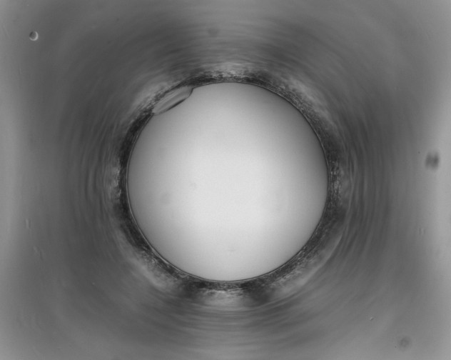 X0000097620548200803142004