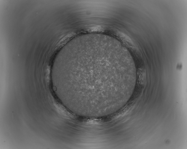 X0000097620550200803142004