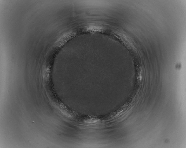 X0000097620551200803142004