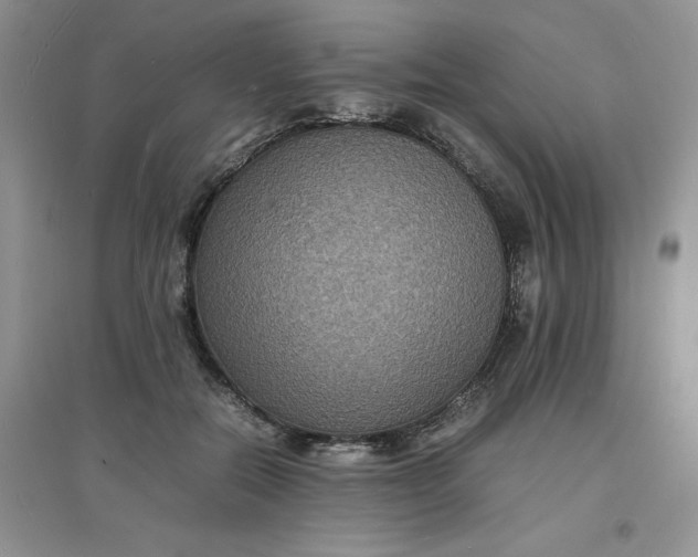 X0000097620554200803142004
