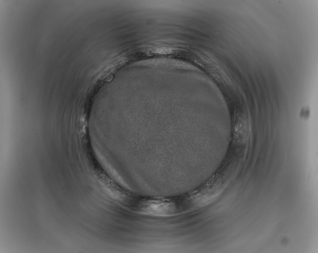X0000097620555200803142004