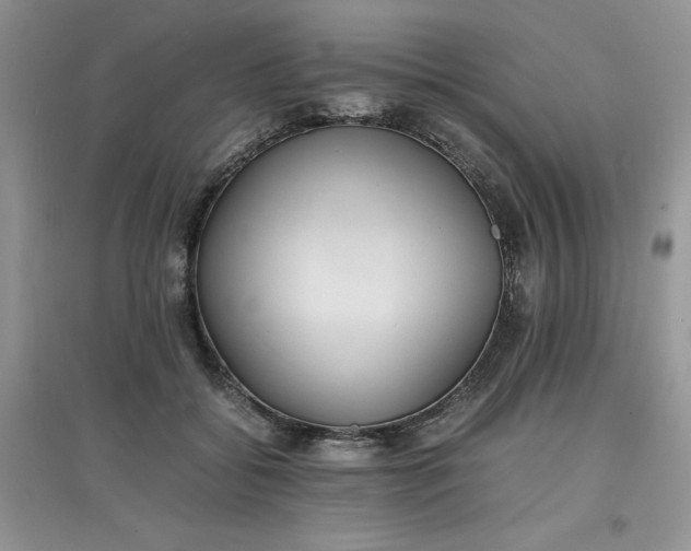 X0000097620556200803142004
