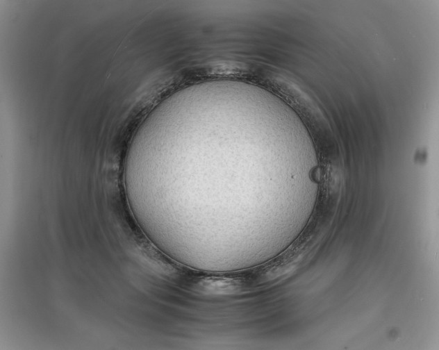 X0000097620557200803142004